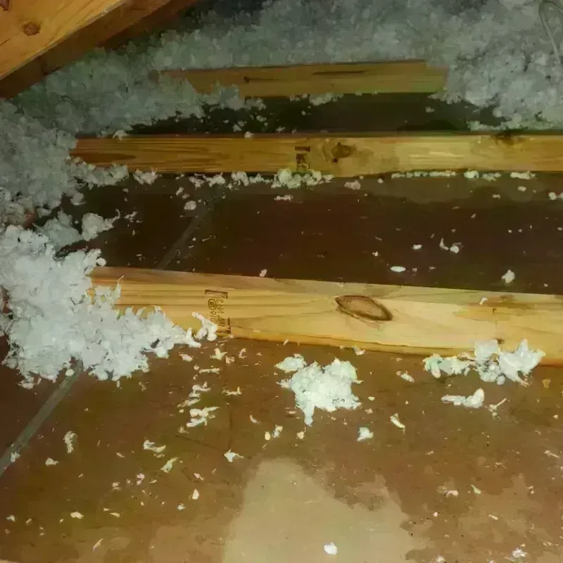 Attic Water Damage in Jackson County, KS