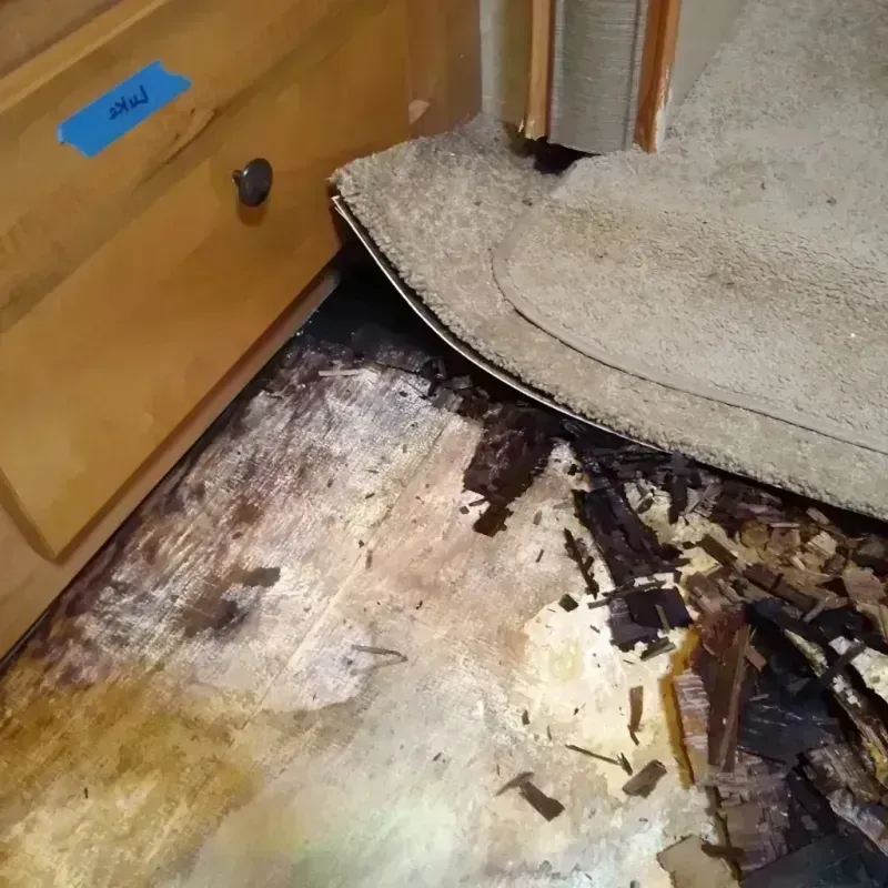 Best Wood Floor Water Damage Service in Jackson County, KS